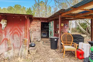 1341 Hwy 185, Westville, FL 32464 - Photo 36