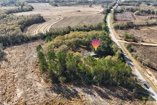 1341 Hwy 185, Westville, FL 32464 - Photo 44