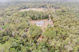 4444 Wilkerson Bluff Rd, Holt, FL 32564 - Photo 32