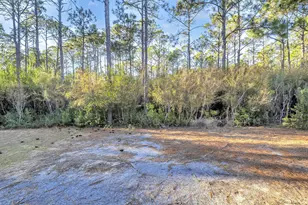 741 Breakers Street, Inlet Beach, FL 32461 - Photo 38