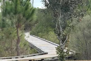 166 Crossing Ln, Santa Rosa Beach, FL 32459 - Photo 14