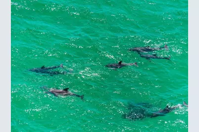 66 Garnet Place, Destin, FL 32541 - Photo 42