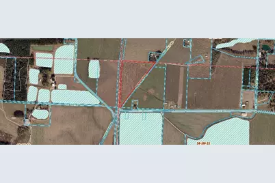 6000 Pine Forest Road, Walnut Hill, FL 32568 - Photo 6