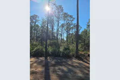 Lot 25 Quail Park, Santa Rosa Beach, FL 32459 - Photo 2