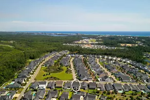 231 Catface Dr, Inlet Beach, FL 32461 - Photo 34
