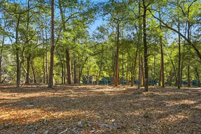 482 E Roberts Road E, Defuniak Springs, FL 32433 - Photo 58