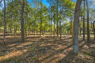 482 E Roberts Road E, Defuniak Springs, FL 32433 - Photo 50