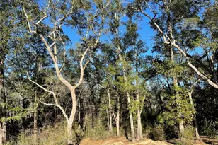 4224 Byrnwyck Pl, Milton, FL 32571 - Photo 20