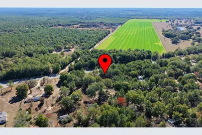 5731 Co Highway 1087, Defuniak Springs, FL 32433 - Photo 8