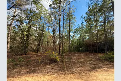 Lot 29 Cleawater Drive, Defuniak Springs, FL 32433 - Photo 2