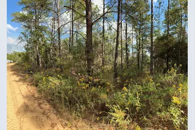 Lot 29 Cleawater Drive, Defuniak Springs, FL 32433 - Photo 1