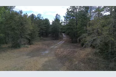 3878 River Road, Vernon, FL 32462 - Photo 14