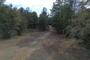 3878 River Rd, Vernon, FL 32462 - Photo 14