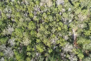 3878 River Rd, Vernon, FL 32462 - Photo 18