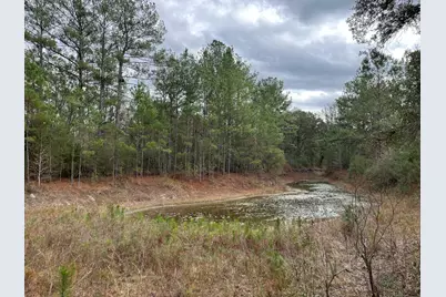 3878 River Road, Vernon, FL 32462 - Photo 2