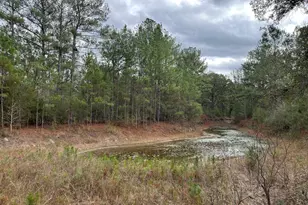 3878 River Rd, Vernon, FL 32462 - Photo 2