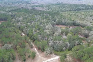 3878 River Rd, Vernon, FL 32462 - Photo 10