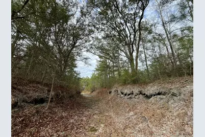 3878 River Road, Vernon, FL 32462 - Photo 4