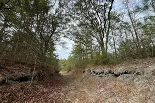 3878 River Rd, Vernon, FL 32462 - Photo 4