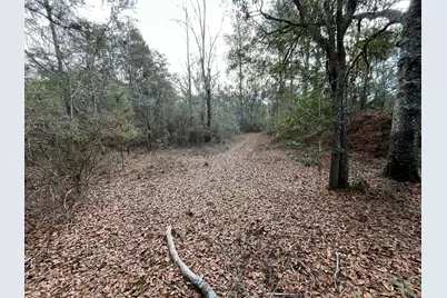 3878 River Road, Vernon, FL 32462 - Photo 6