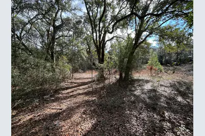 3878 River Road, Vernon, FL 32462 - Photo 8