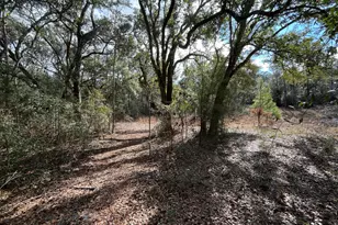 3878 River Rd, Vernon, FL 32462 - Photo 8