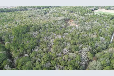 3878 River Road, Vernon, FL 32462 - Photo 16