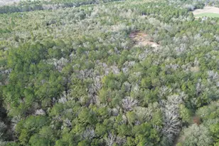 3878 River Rd, Vernon, FL 32462 - Photo 16