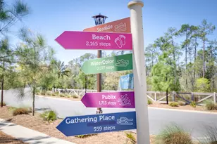 101 Prairie Pass, Santa Rosa Beach, FL 32459 - Photo 52