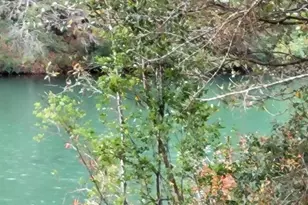 118 Tranquility Dr, Crestview, FL 32536 - Photo 1