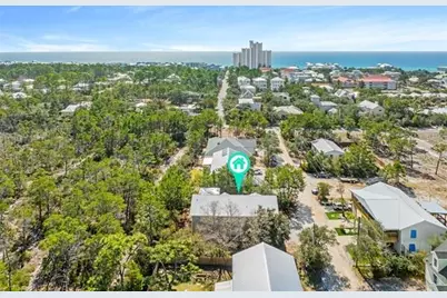 316 Robert Ellis Street, Santa Rosa Beach, FL 32459 - Photo 42