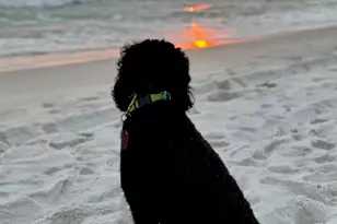 114 Main Sail Dr, Miramar Beach, FL 32550 - Photo 10