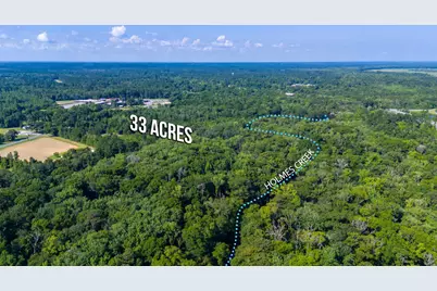 3612 Roche Ave, Vernon, FL 32462 - Photo 16