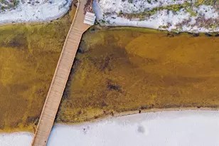 409 Coopersmith Lane, Inlet Beach, FL 32461 - Photo 90