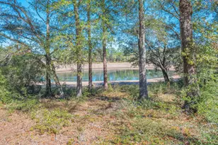 482 Cat Island Rd, Defuniak Springs, FL 32433 - Photo 38