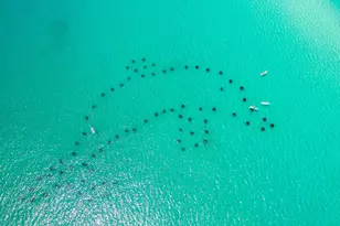 177 Lakeland Dr, Miramar Beach, FL 32550 - Photo 44