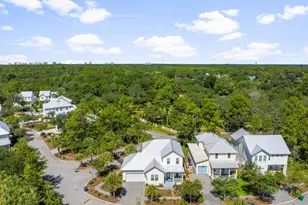 386 Marlberry Trce, Santa Rosa Beach, FL 32459 - Photo 46