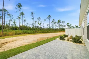 323 Suwannee Dr, Inlet Beach, FL 32461 - Photo 24