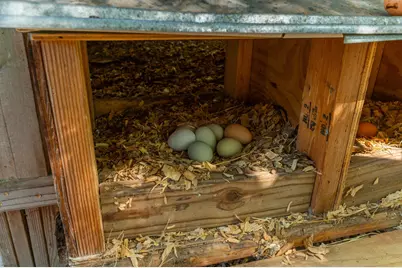 1827 Waterway Drive, Baker, FL 32531 - Photo 44