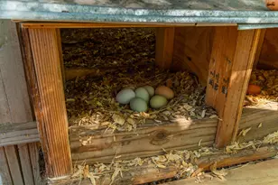 1827 Waterway Dr, Baker, FL 32531 - Photo 44