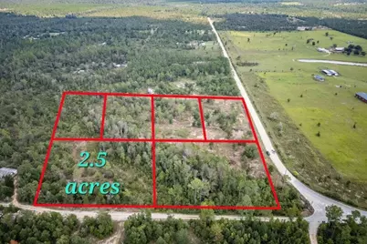 1462 Lake Lillian Road, Fountain, FL N/A - Photo 2