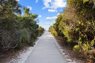 311 Walton Rose Ln, Inlet Beach, FL 32461 - Photo 8