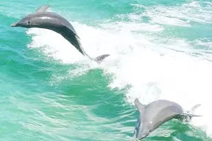 38 NW Poulton Dr NW, Fort Walton Beach, FL 32548 - Photo 34