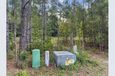 Lot 28 Rivercrest Circle, Santa Rosa Beach, FL 32459 - Photo 6