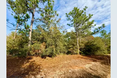 81 Puccini Drive, Defuniak Springs, FL 32433 - Photo 2