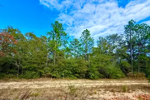 81 Puccini Dr, Defuniak Springs, FL 32433 - Photo 1