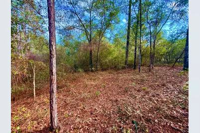 81 Puccini Drive, Defuniak Springs, FL 32433 - Photo 6