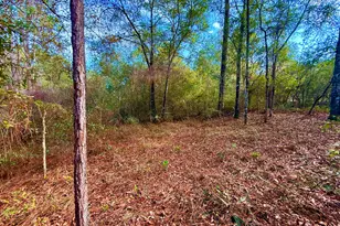 81 Puccini Dr, Defuniak Springs, FL 32433 - Photo 6