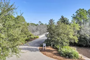 83 Cypress Walk, Santa Rosa Beach, FL 32459 - Photo 44