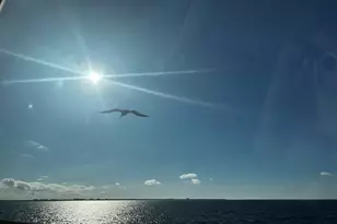 256 N Driftwood Bay, Miramar Beach, FL 32550 - Photo 40